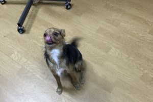 お泊り中☆
