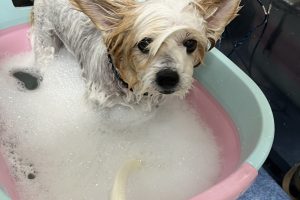 10月のお友達☆