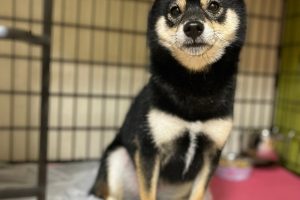 お泊り中☆
