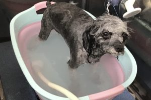 10月のお友達☆