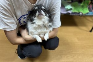 お泊り☆