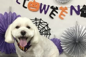 10月のお友達☆
