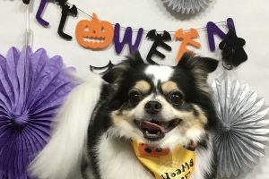 10月のお友達☆