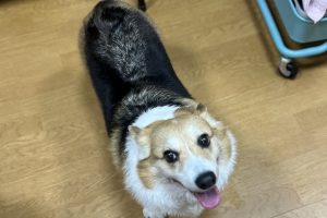 お泊り☆