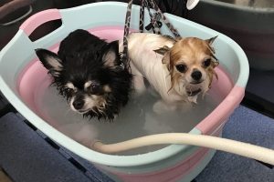 10月のお友達☆