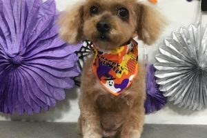 10月のお友達☆