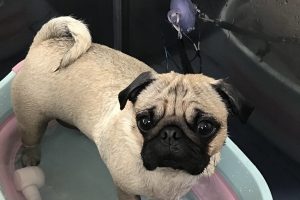 10月のお友達☆