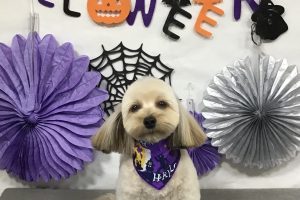 10月のお友達☆