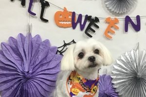10月のお友達☆