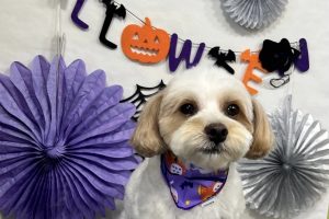 10月のお友達☆