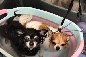 10月のお友達☆