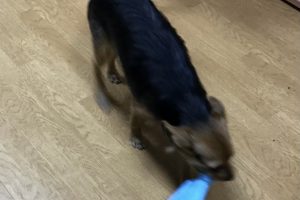 お泊り中☆