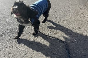 お泊り☆