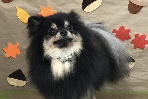 11月のお友達☆