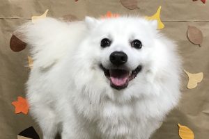 11月のお友達☆