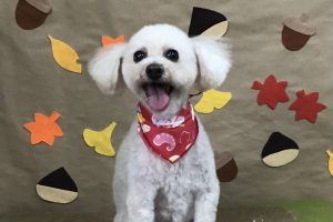 11月のお友達☆