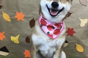 11月のお友達☆