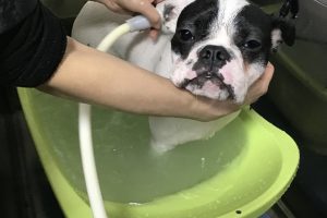 11月のお友達☆
