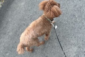 お泊り☆