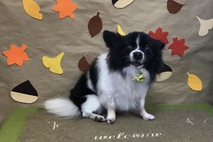 11月のお友達☆