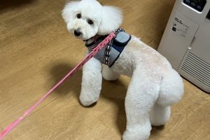 11月のお友達☆