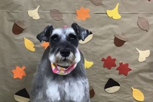 11月のお友達☆