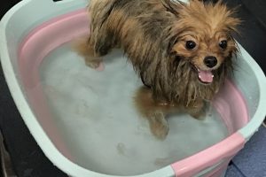 11月のお友達☆