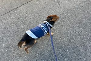 お泊り中☆