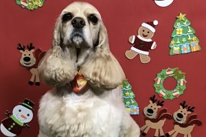 12月のお友達☆