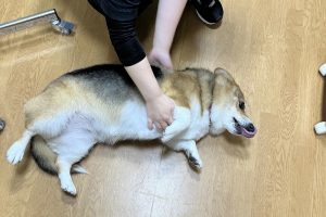 お泊り中☆