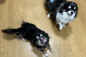 お泊り中☆