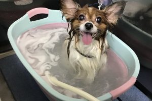 12月のお友達☆
