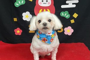 12月のお友達☆