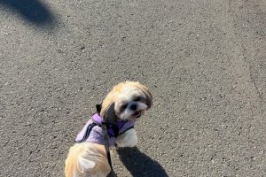 お泊り中☆