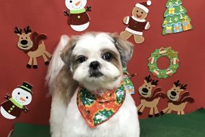12月のお友達☆