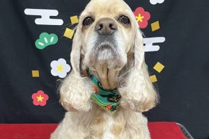 12月のお友達☆