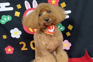 12月のお友達☆