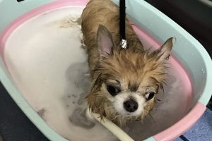 12月のお友達☆