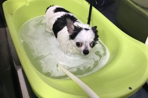 12月のお友達☆