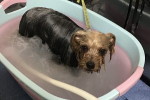12月のお友達☆