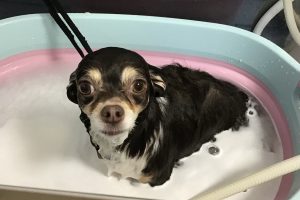 12月のお友達☆
