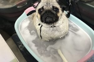 12月のお友達☆