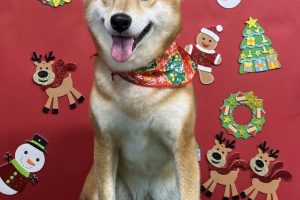 12月のお友達☆