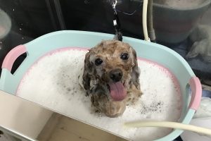 12月のお友達☆