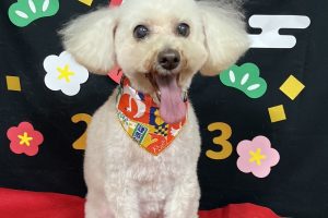 12月のお友達☆
