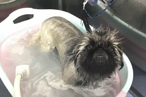 12月のお友達☆