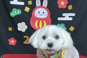 12月のお友達☆