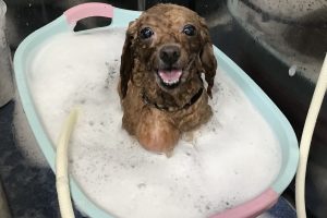 12月のお友達☆
