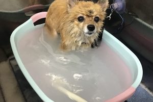 12月のお友達☆