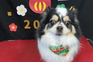 12月のお友達☆